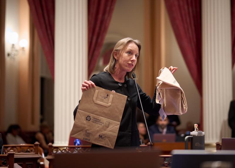 Sen. Blakespear on the Senate floor. 