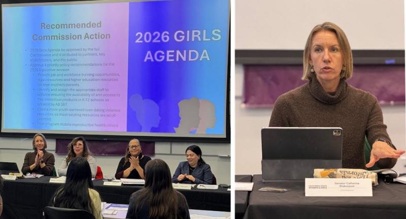 I attended my first meeting earlier this month on the California Commission for the Status of Women and Girls.