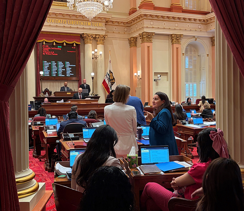 Senator Blakespear speaking with pro Tem Limón on Senate Floor.