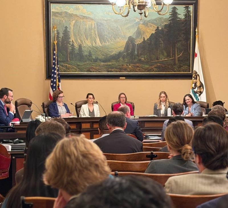 Sen. Blakespear presides over Seante Environmental Quality Committee. 