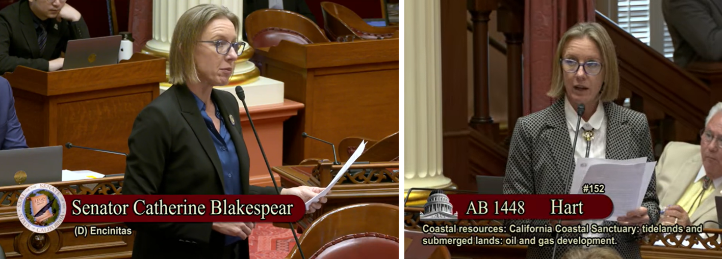 Senator Blakespear speaking on Senate floor.