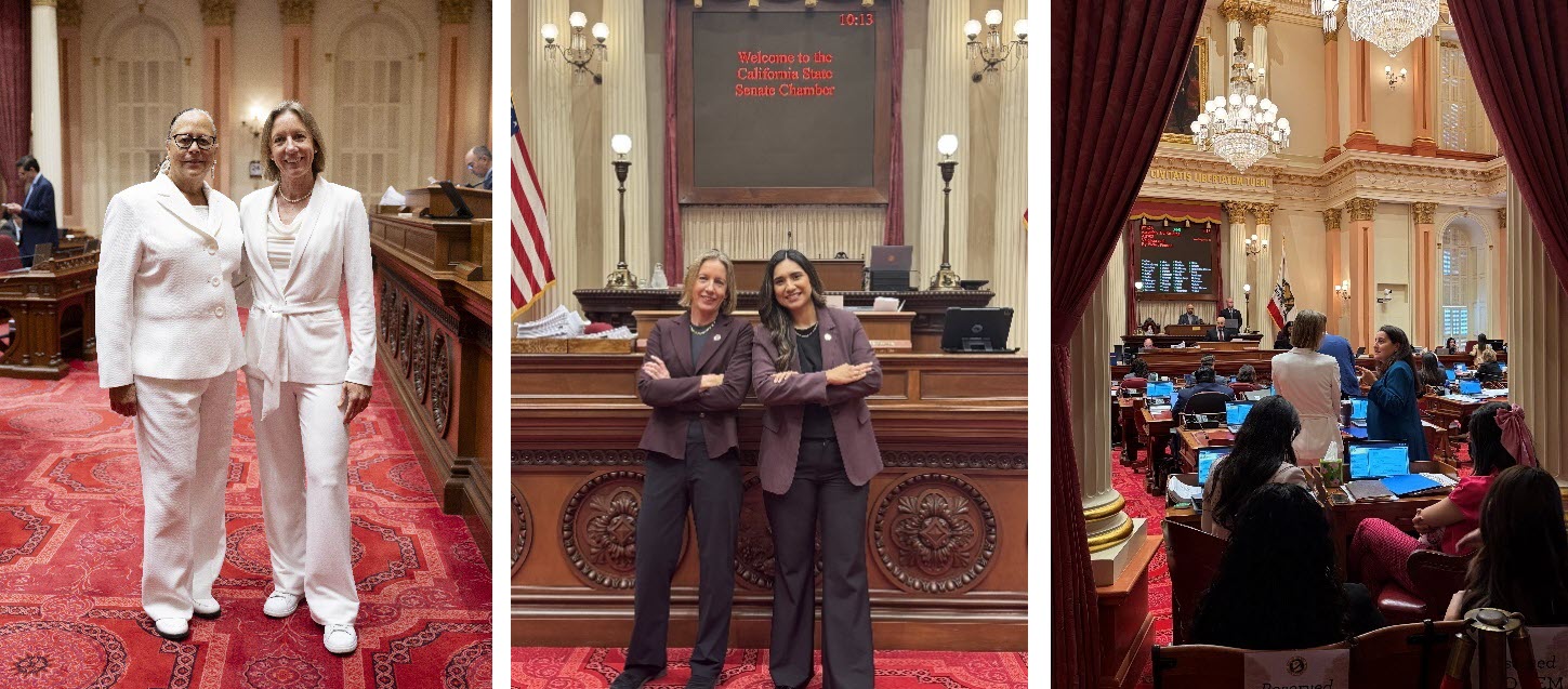 Senator Blakespear with other state Senators on Senate Floor.