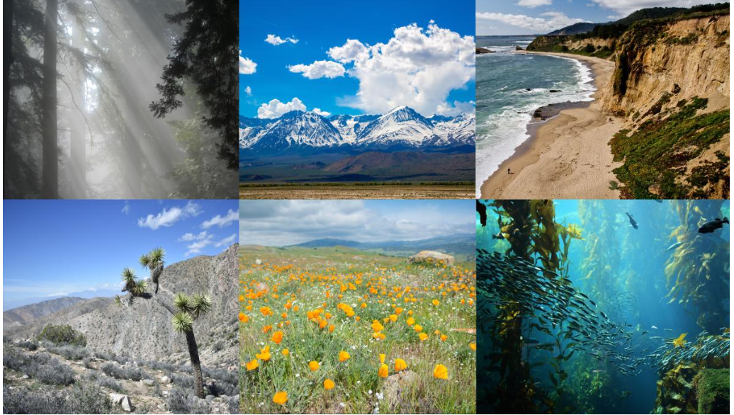 Images of nature through out California. 